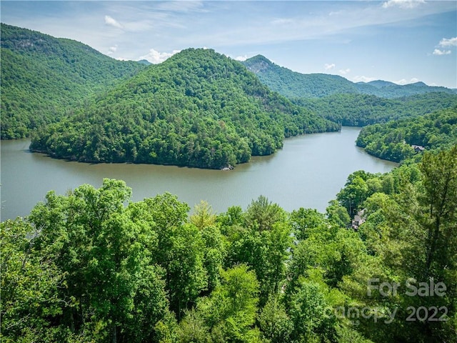 Listing photo 2 for LT454 Southshore Dr, Tuckasegee NC 28783