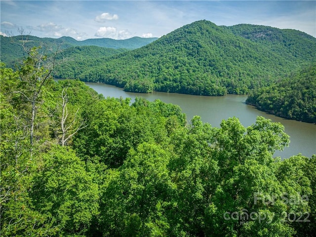 Listing photo 3 for LT454 Southshore Dr, Tuckasegee NC 28783