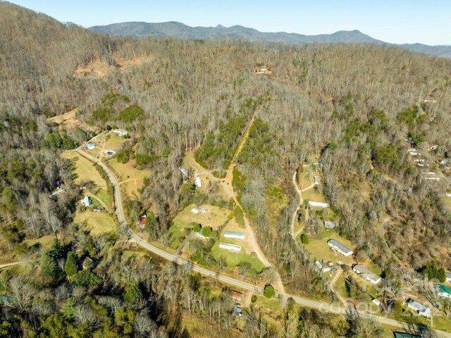 6 Tylers Run Unit 12, Candler, NC 28715