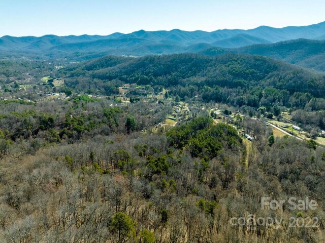 6 Tylers Run Unit 12, Candler, NC 28715