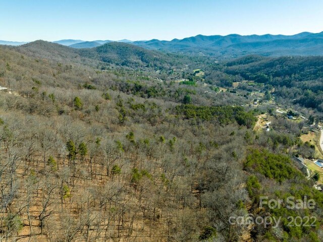 6 Tylers Run Unit 12, Candler, NC 28715
