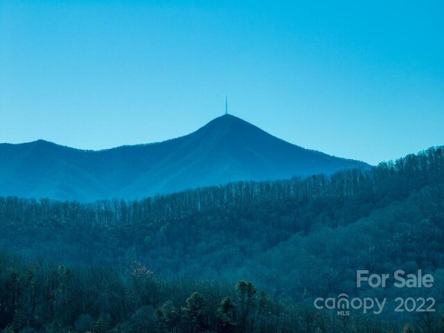 6 Tylers Run Unit 12, Candler, NC 28715