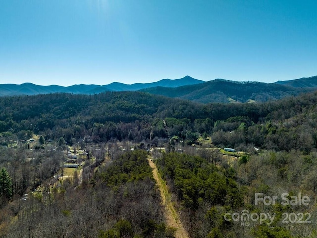 6 Tylers Run Unit 12, Candler, NC 28715