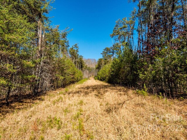 6 Tylers Run Unit 12, Candler, NC 28715
