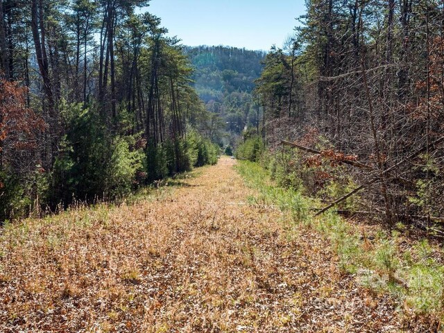 6 Tylers Run Unit 12, Candler, NC 28715