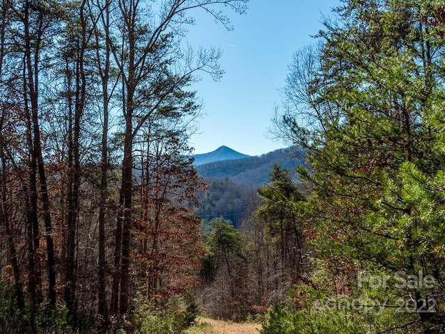 6 Tylers Run Unit 12, Candler, NC 28715