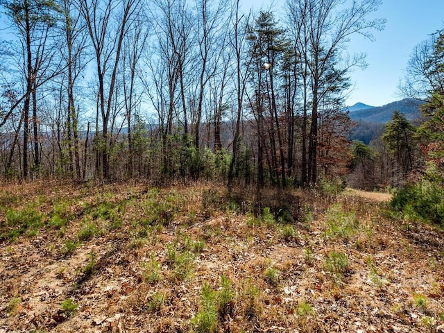 6 Tylers Run Unit 12, Candler, NC 28715
