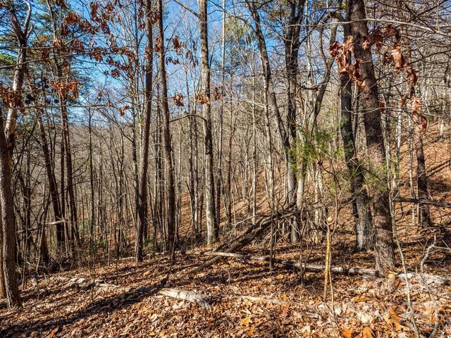 6 Tylers Run Unit 12, Candler, NC 28715