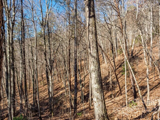 6 Tylers Run Unit 12, Candler, NC 28715