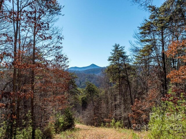 6 Tylers Run Unit 12, Candler, NC 28715