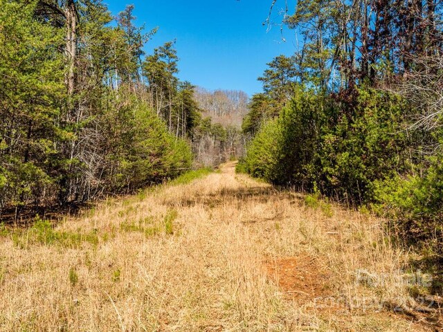 6 Tylers Run Unit 12, Candler, NC 28715