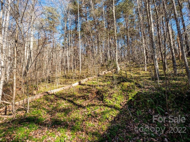 6 Tylers Run Unit 12, Candler, NC 28715