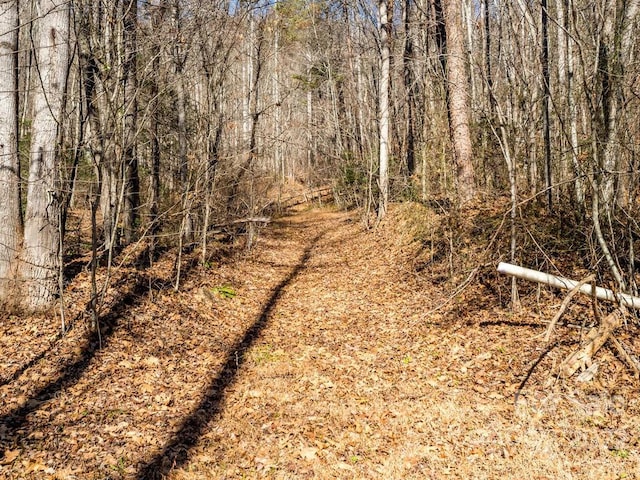 6 Tylers Run Unit 12, Candler, NC 28715