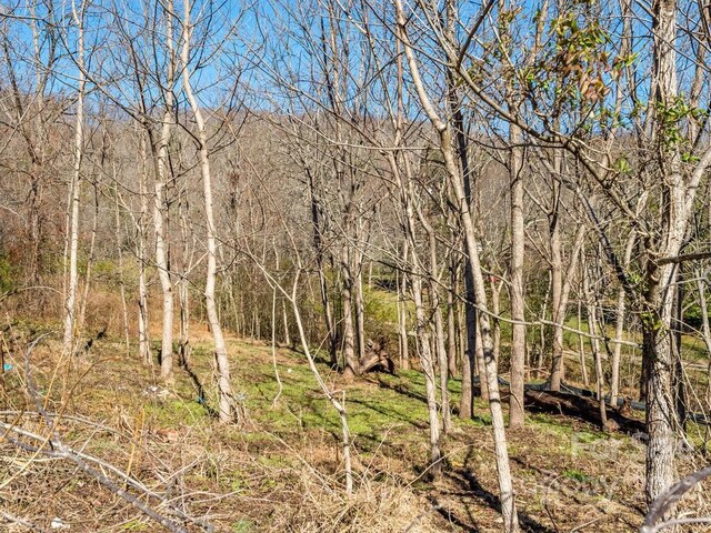 6 Tylers Run Unit 12, Candler, NC 28715