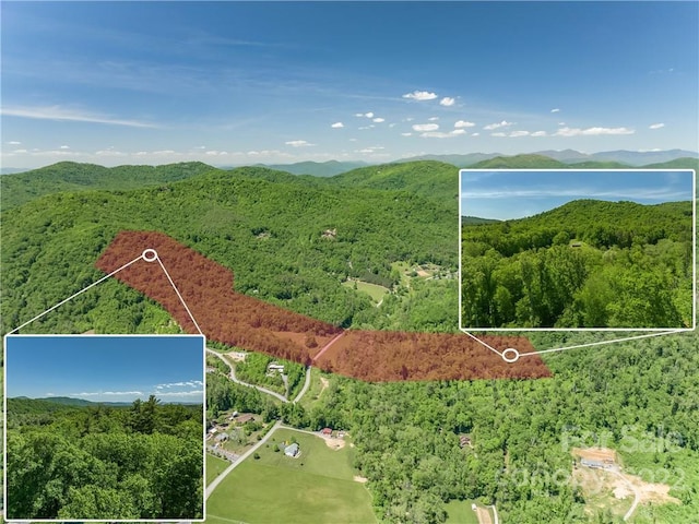 birds eye view of property with a mountain view