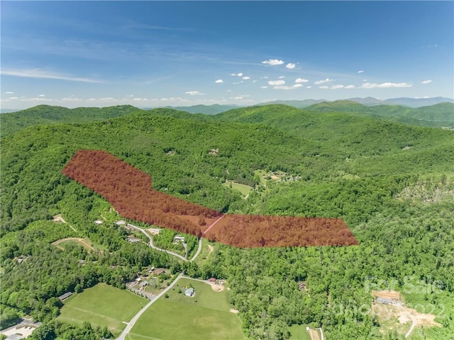 birds eye view of property with a mountain view