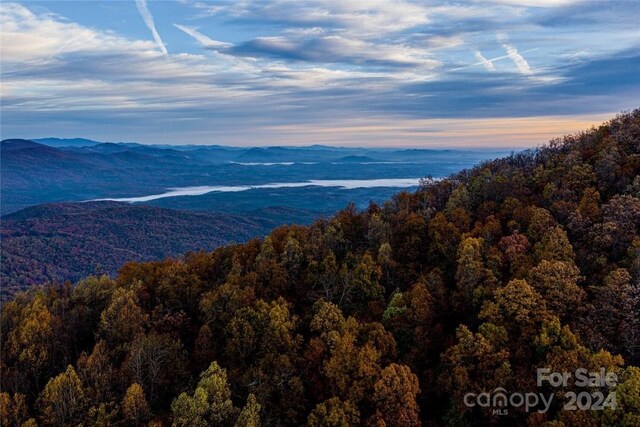 99999 Holbert Cove Rd, Saluda, NC 28773