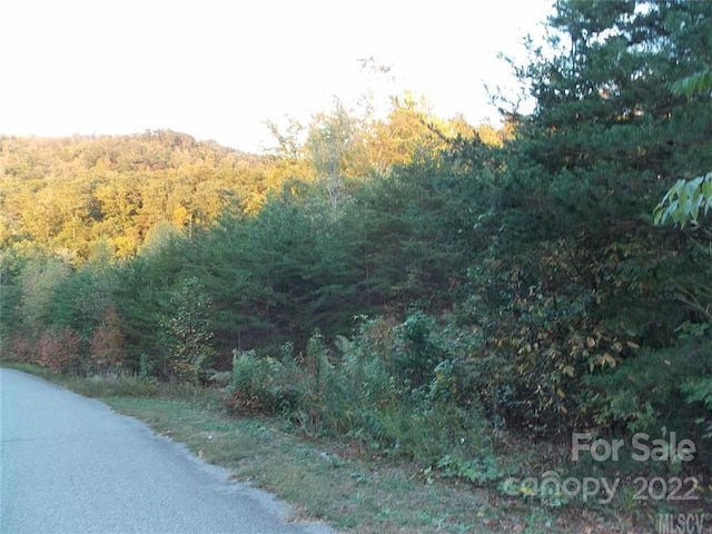 2468 Lick Mountain Dr, Hudson NC, 28638 land for sale