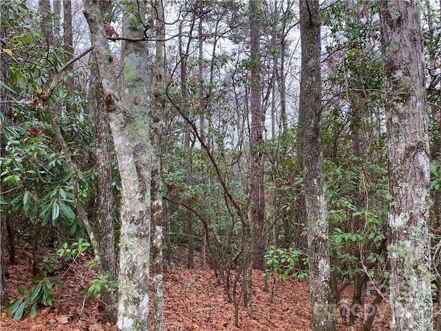 M30 Elk Mountain Trl, Brevard NC, 28712 land for sale