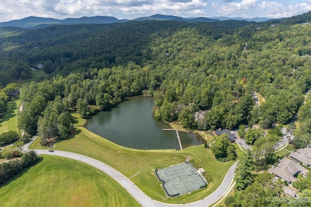 Listing photo 2 for M30 Elk Mountain Trl, Brevard NC 28712