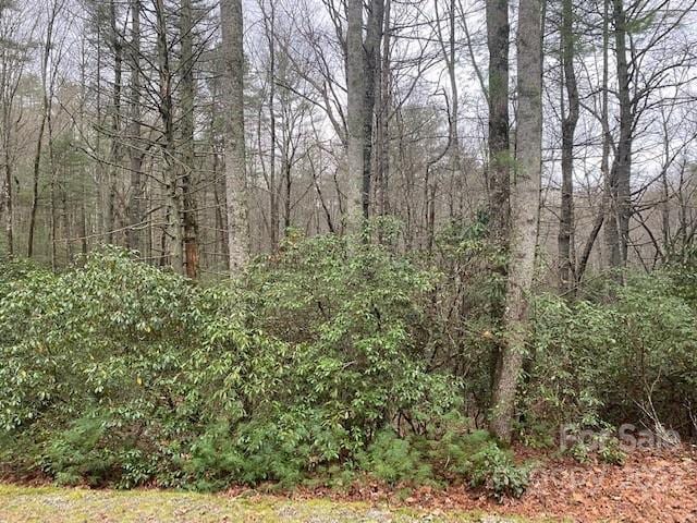 TBD Salola Ln Unit U04-L033, Brevard NC, 28712 land for sale