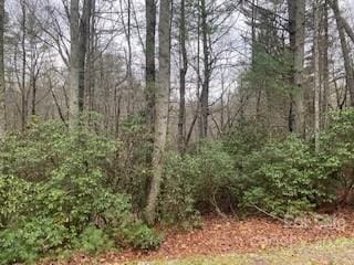 Listing photo 2 for TBD Salola Ln Unit U04-L033, Brevard NC 28712