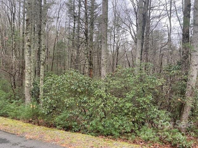 Listing photo 3 for TBD Salola Ln Unit U04-L033, Brevard NC 28712