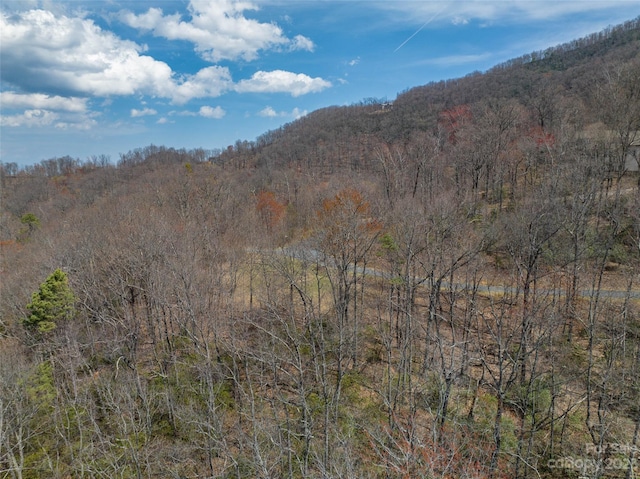 187 Arcadia Falls Way Unit 77, Black Mountain NC, 28711 land for sale