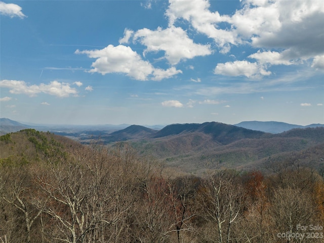 Listing photo 3 for 187 Arcadia Falls Way Unit 77, Black Mountain NC 28711