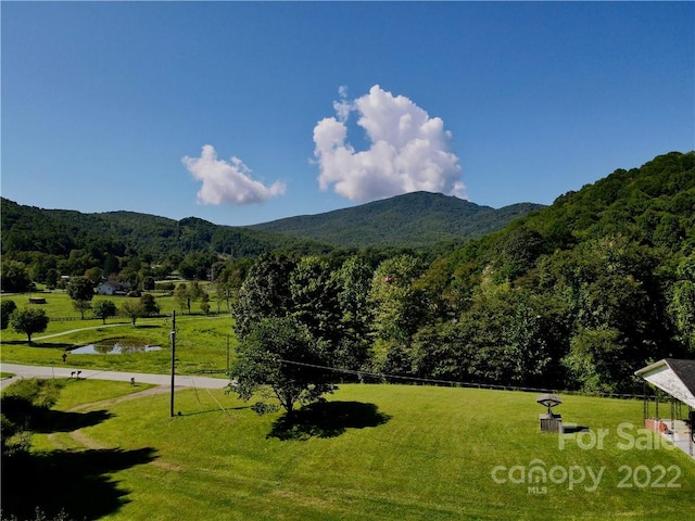 1125 Church Rd, Boone, NC 28607 - exterior space with a mountain view and a lawn