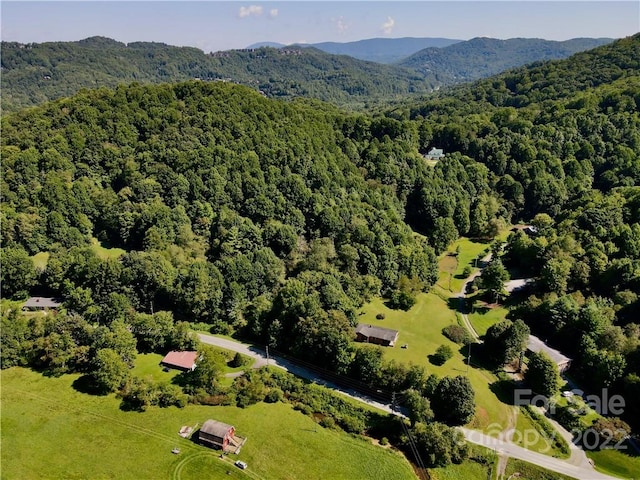 aerial view with a mountain view