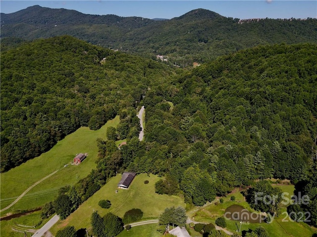 birds eye view of property featuring a mountain view