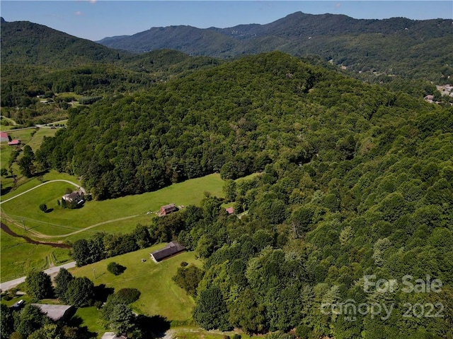 bird's eye view featuring a mountain view