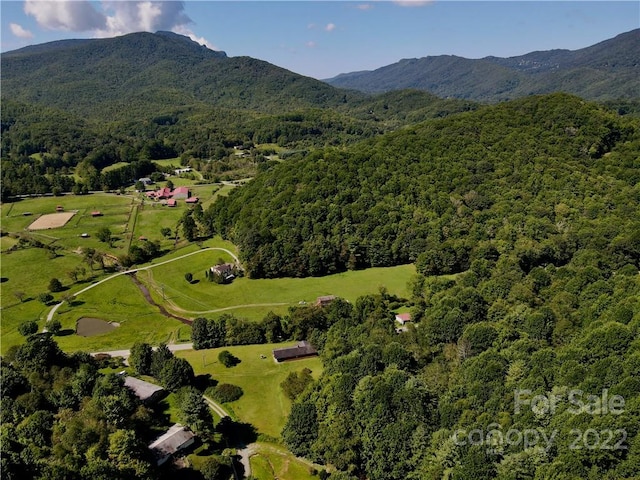 aerial view with a mountain view