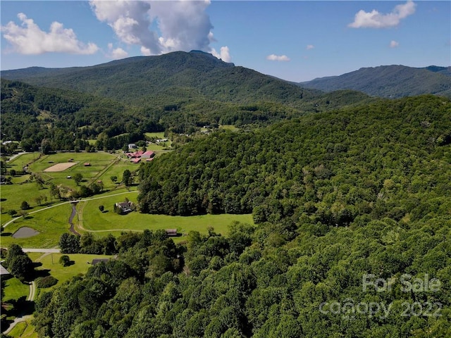 bird's eye view with a mountain view