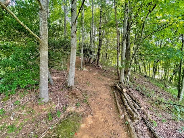 view of local wilderness