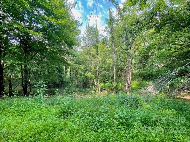 view of local wilderness