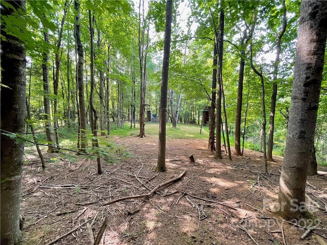 view of local wilderness