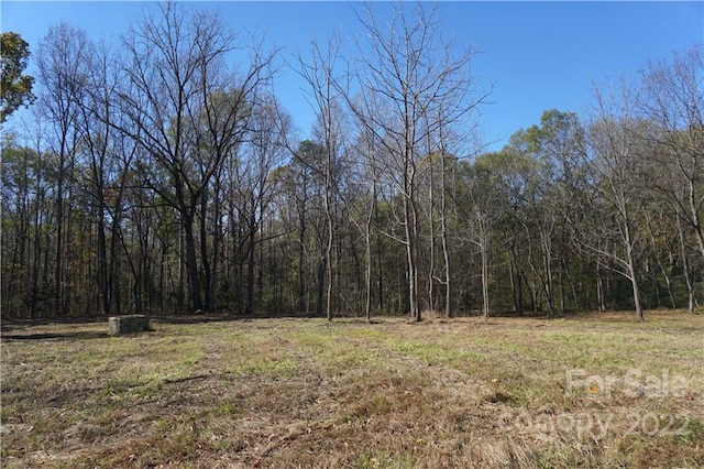 10.64AC Burree Rd, Clover SC, 29710 land for sale