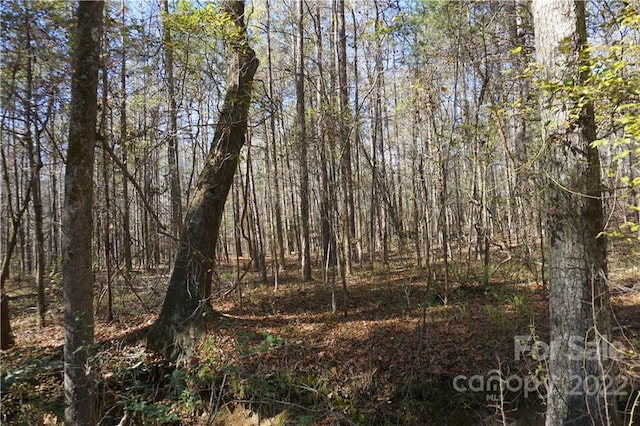 10.64AC Burree Rd Unit 6, Clover SC, 29710 land for sale