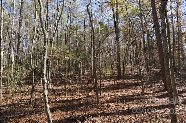 Listing photo 2 for 10.64AC Burree Rd Unit 6, Clover SC 29710