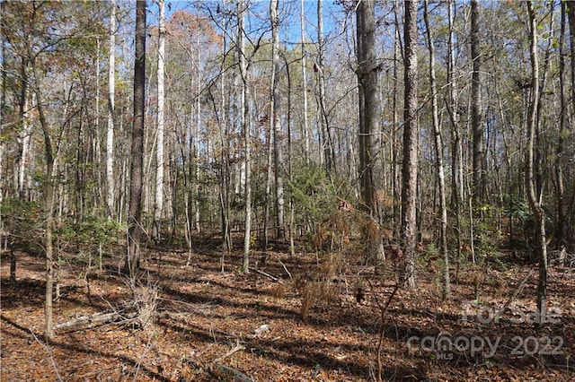 Listing photo 3 for 10.64AC Burree Rd Unit 6, Clover SC 29710