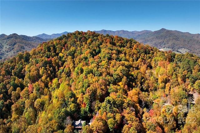 73 Frank Davis Road 73 & 74, Waynesville NC, 28785 land for sale