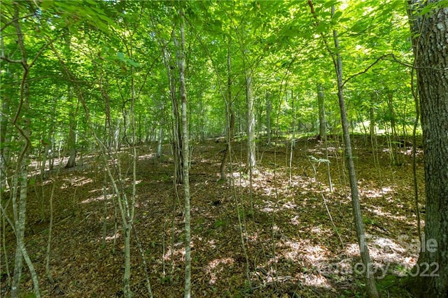 Listing photo 2 for TBD Rabbit Hop Rd Unit 16, Spruce Pine NC 28777