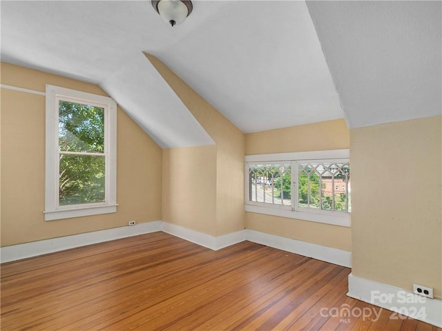 bonus room featuring vaulted ceiling, dark wood-type flooring, and a wealth of natural light