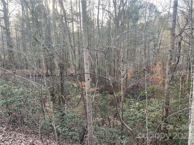 0 Starling Rd Unit 12, 13, 16, 17, Lake Lure NC, 28746 land for sale