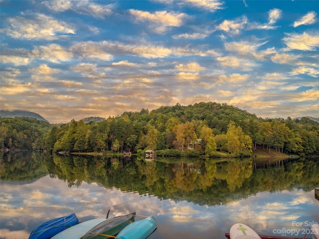 Listing photo 3 for 0 Starling Rd Unit 206, Lake Lure NC 28746