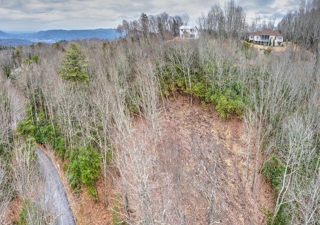 TBD School House Dr Unit 15, Pisgah Forest NC, 28768 land for sale