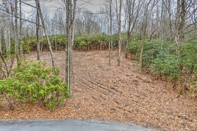 Listing photo 2 for TBD School House Dr Unit 15, Pisgah Forest NC 28768