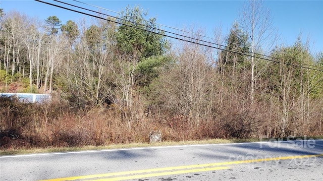 Listing photo 3 for 000 Greenville Hwy, Brevard NC 28712